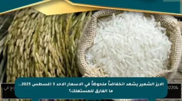 الأرز الشعير يشهد انخفاضاً ملحوظاً في الأسعار الأحد 3 أغسطس 2025.. ما الفارق للمستهلك؟